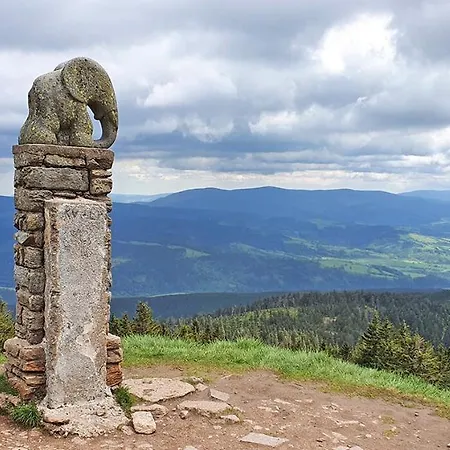 Sowia Nowe Z Zachwycajacym Widokiem Na Gory I Potok