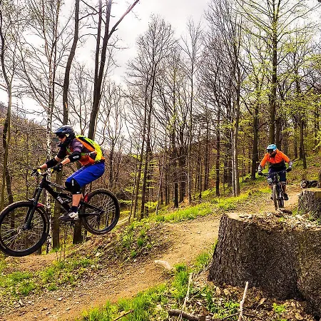 Apartment Sowia Nowe Z Zachwycajacym Widokiem Na Gory I Potok Stronie Śląskie