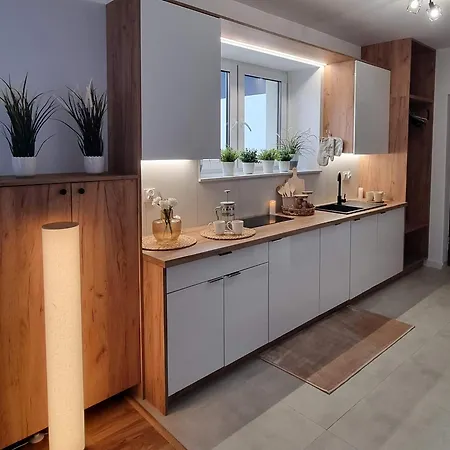 Sowia Nowe Z Pieknym Widokiem Na Gory I Potok Lejlighed Stronie Śląskie