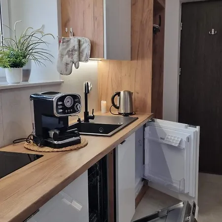 Sowia Nowe Z Pieknym Widokiem Na Gory I Potok Lejlighed