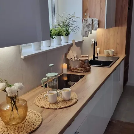 Apartment Sowia Nowe Z Zachwycajacym Widokiem Na Gory I Potok *