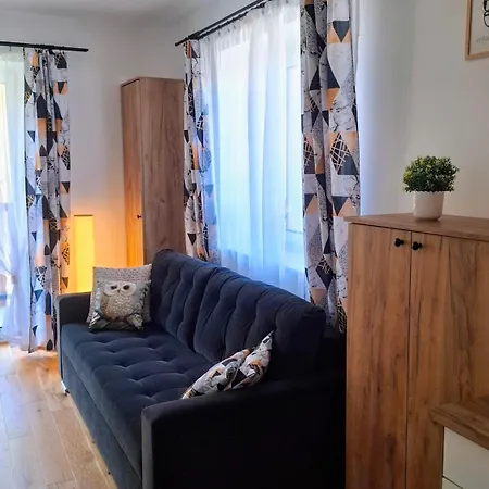 Sowia Nowe Z Zachwycajacym Widokiem Na Gory I Potok