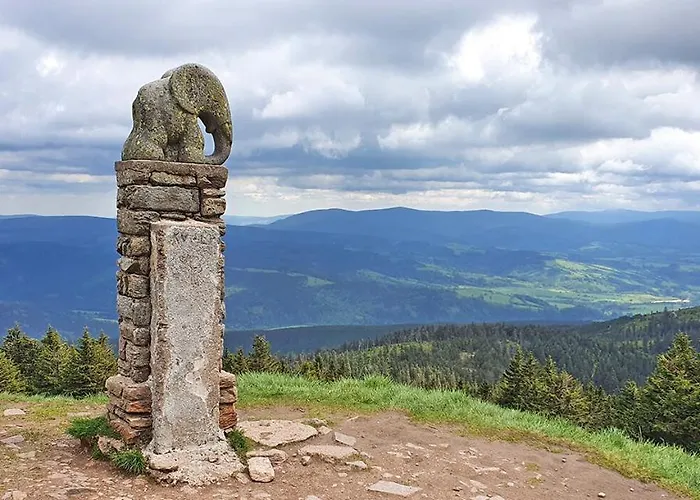 Sowia Nowe Z Zachwycającym Widokiem Na Góry I Potok