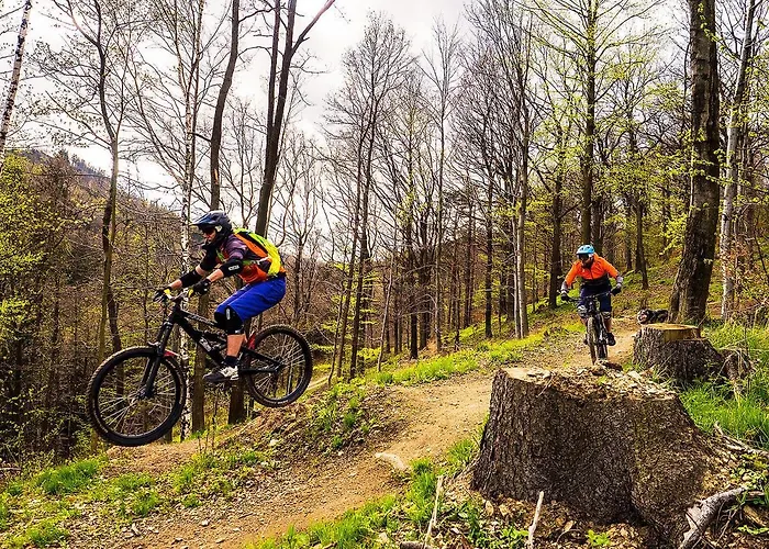 Apartament Sowia Nowe Z Zachwycającym Widokiem Na Góry I Potok Stronie Śląskie