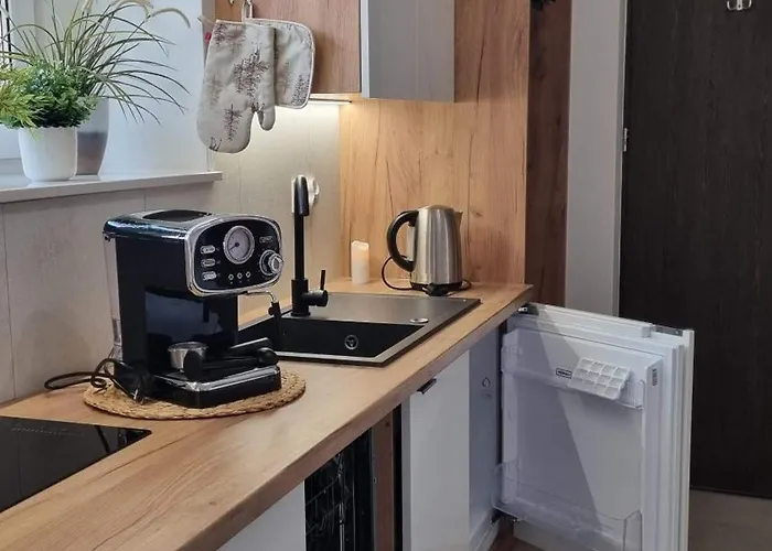 Sowia Nowe Z Zachwycającym Widokiem Na Góry I Potok Apartament