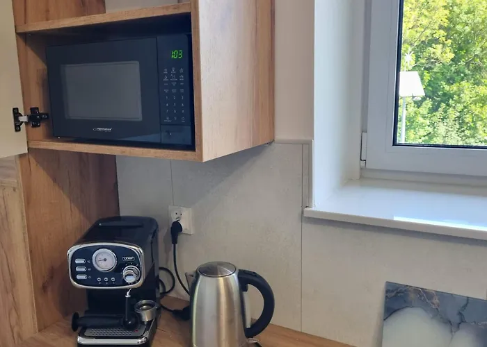 Apartament Sowia Nowe Z Zachwycającym Widokiem Na Góry I Potok *