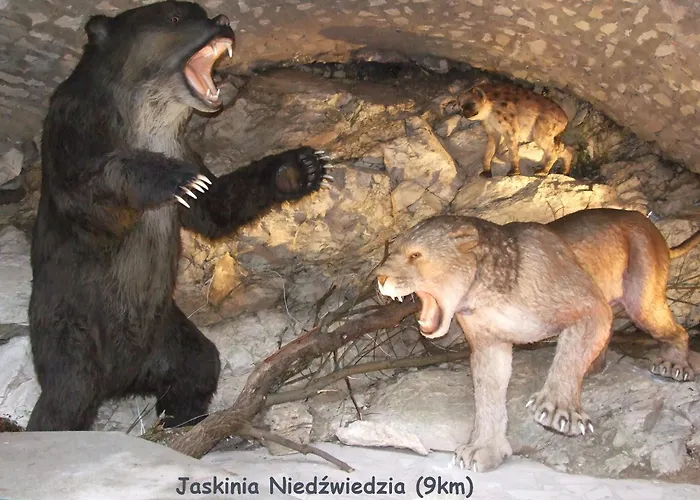 Sowia Nowe Z Zachwycającym Widokiem Na Góry I Potok *